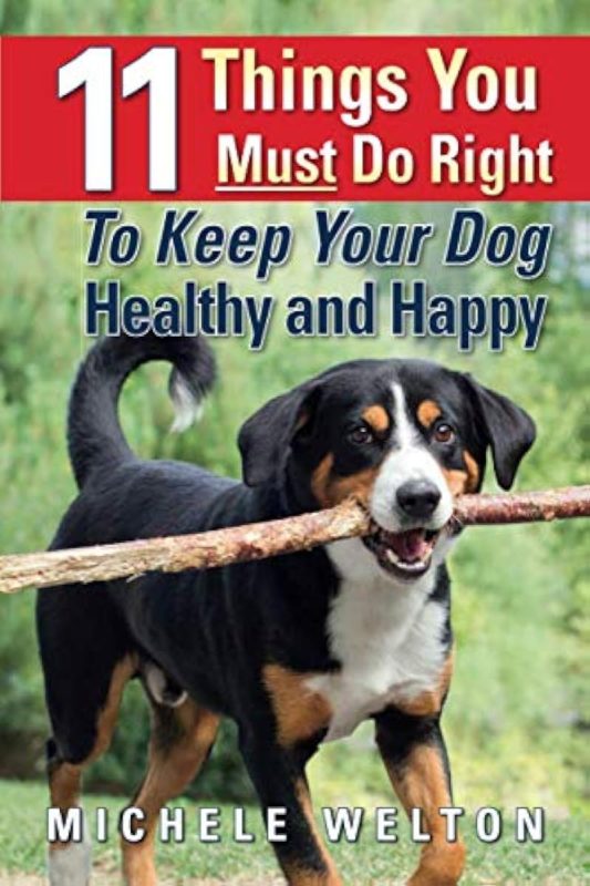 11 Things You Must Do Right to Keep Your Dog Healthy and Happy