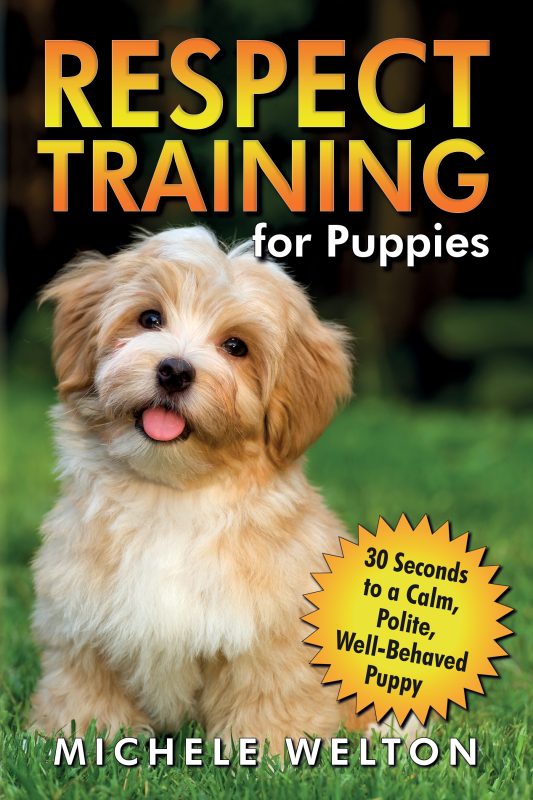 Respect Training for Puppies