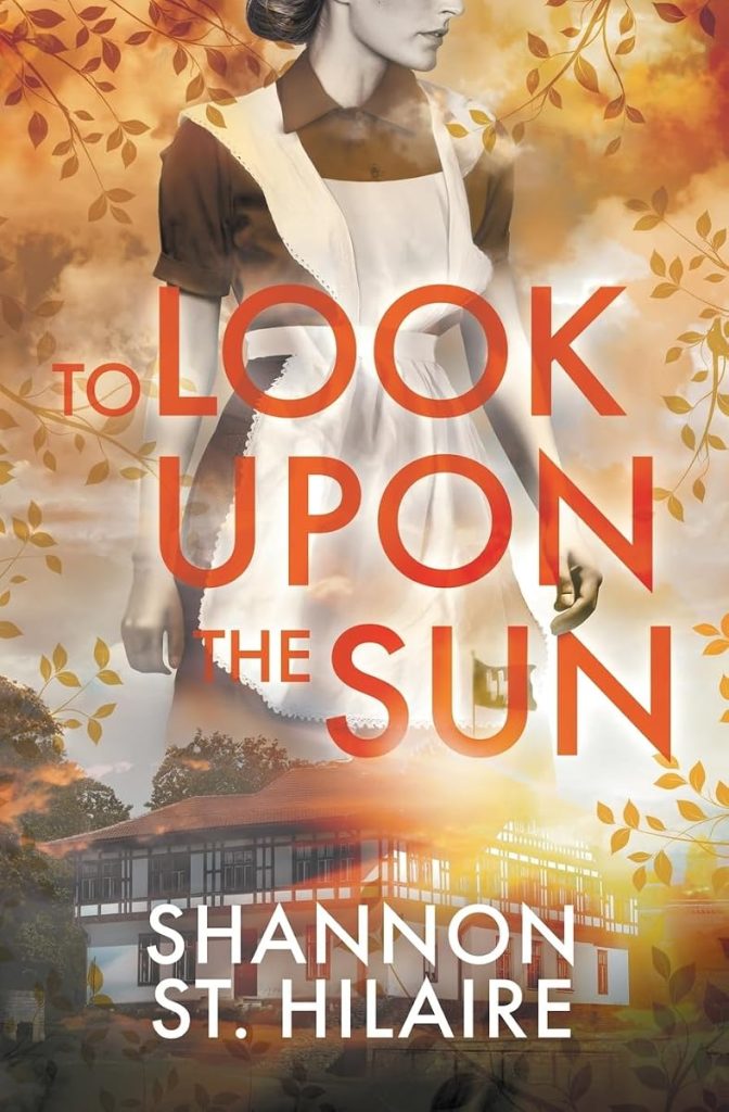 To Look Upon The Sun cover