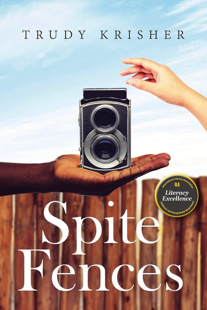 Spite Fences cover
