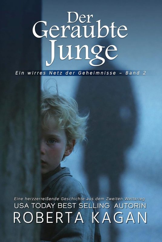 Der geraubte Junge (Ein wirres Netz der Geheimnisse 2) (German Edition)